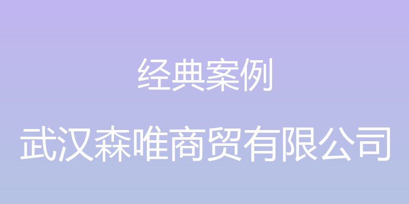 经典案例 - 武汉森唯商贸有限公司