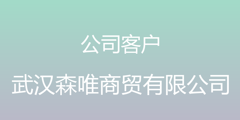 公司客户 - 武汉森唯商贸有限公司