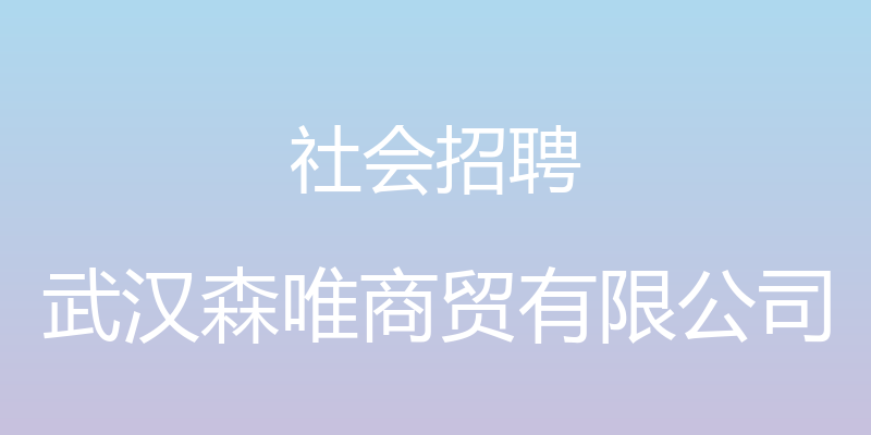 社会招聘 - 武汉森唯商贸有限公司