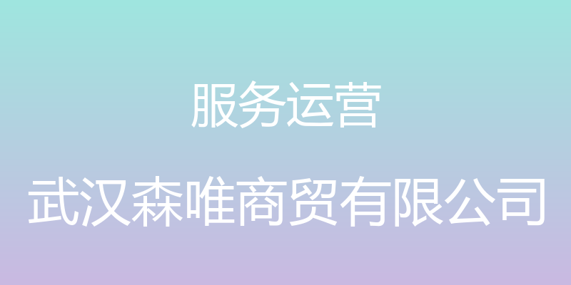 服务运营 - 武汉森唯商贸有限公司