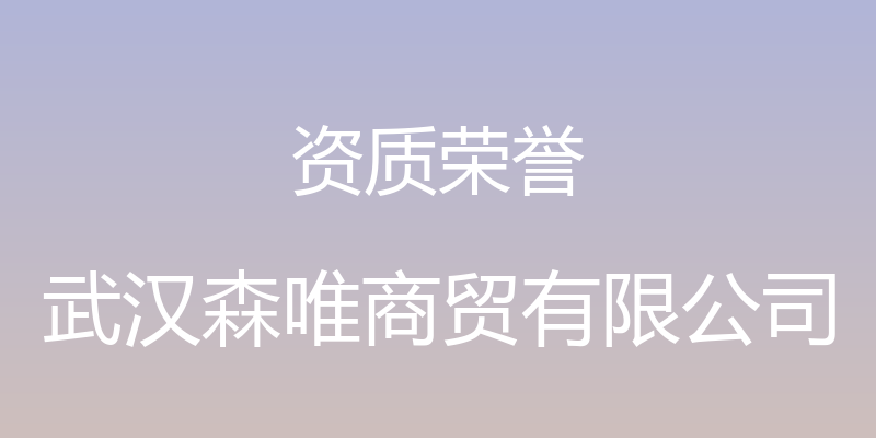 资质荣誉 - 武汉森唯商贸有限公司